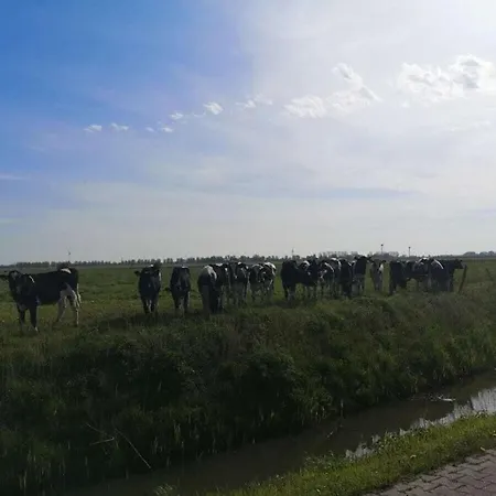 With 2 Bedrooms Крумхёрн